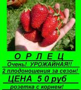 Клубника.