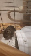 ����. ����