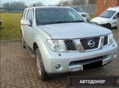 Nissan Navara ����
