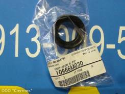 Сальник свечного колодца Subaru 10966AA030 в Новосибирске Сальник свечного колодца SUBARU 10966AA030