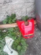 ��������. ����
