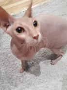������. ����