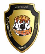 Детская футбольная секция
