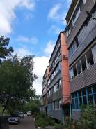 1-комнатная, улица Воровского 159. Слобода, агентство, 29 кв. м. Дом снаружи