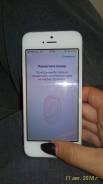 Apple iPhone 5s. Б/у, 16 Гб, Серебристый, 4G LTE