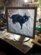 Samsung. 17" ����