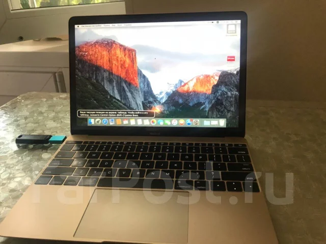 Apple MacBook. WiFi: 1, Bluetooth: 1 ����