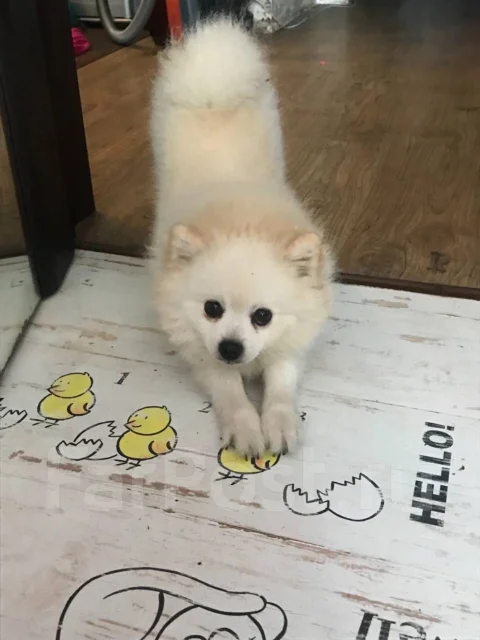 ����. ����