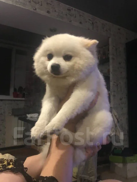����. ����