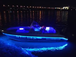 ������. 2013 ���, ����� 4,8��., ��������� ���������, 60��.�., ������ ����