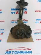 Рычаг, кулак поворотный. Skoda Octavia