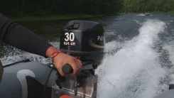 ������ ���������. ����