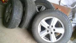 Donz Sabatini. x16" ����