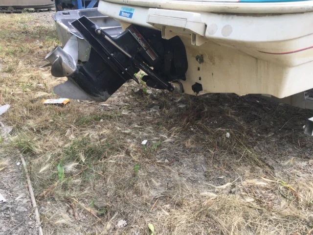 Bayliner. 1993 ���, ����� 5,5��., ��������� ������������, 175��.�., ������ ����