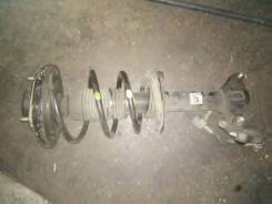Амортизатор. Nissan Primera, QP12 Двигатель QR20DE