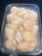 Морской гребешок.