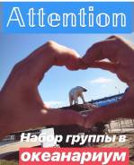 Поездка в Океанариум +Дельфинариум