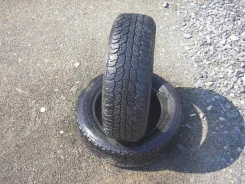 AMP M/T Terrain Master. �����������, �/�, ����� 20�%
