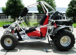 Arctic Cat Pantera. ��������, ��, ��� �������. ��� ����� �� ������������ ����