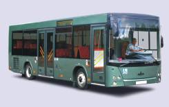 МАЗ. Автобус 206063, 72 места, В кредит, лизинг