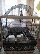 Клетки.