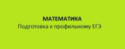 Математика. Профессиональная подготовка к профильному егэ