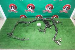 Проводка двс. Toyota Avensis, AZT250, AZT250L, AZT250W Двигатели: 1AZFE, 1AZFSE