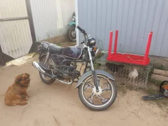 Motolife Alpha. 72����. ��., ��������, ���, � �������� ����