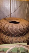 ��� �-170. �����������, 2010 ���, ����� ����