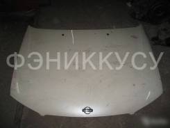 Капот. Nissan Bluebird Sylphy, QG10