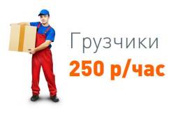 Грузчик. Высшее образование по специальности