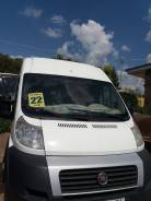 Fiat Ducato. Продается микроавтобус FIAT Ducato, 2014, 19 мест, С маршрутом, работой