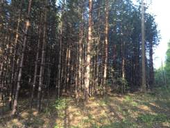 24 сот. в с. Черноусово. 2 483 кв. м., аренда, электричество, от частного лица (собственник)