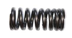 Пружина клапана впуск 14761-P8D-J01. Honda Legend Honda Saber, UA4 Honda Inspire, UA4 Honda Crosstour Двигатель J25A