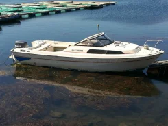 Yamaha F. 1998 ���, ����� 8��., ��������� ���������, 200��.�., ������ ����
