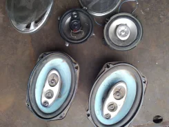 Elenberg ����