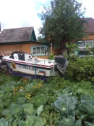 Yamaha Fish 15. 1992 ���, ����� 4,5��., ��������� ���������, 40��.�., ������ ����