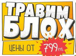 Уничтожение насекомых: таракан, клоп, блоха, муравей, клещ, шершень