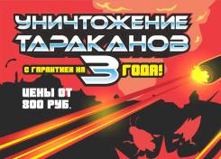 Уничтожение насекомых: таракан, клоп, блоха, муравей, клещ, шершень