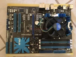 P55 ����