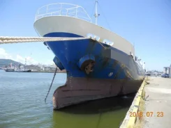 Sargo. 1995 ���, ����� 70��., ��������� ������������, ������. ��� ����� �� ������������ ����