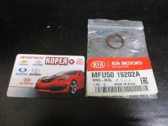 Сальник. Kia: Mentor, Avella, Spectra, Clarus, Pride, X-Trek, Sephia, Credos, Rio, Concord, Festiva, Shuma, Carens Двигатель D4BB