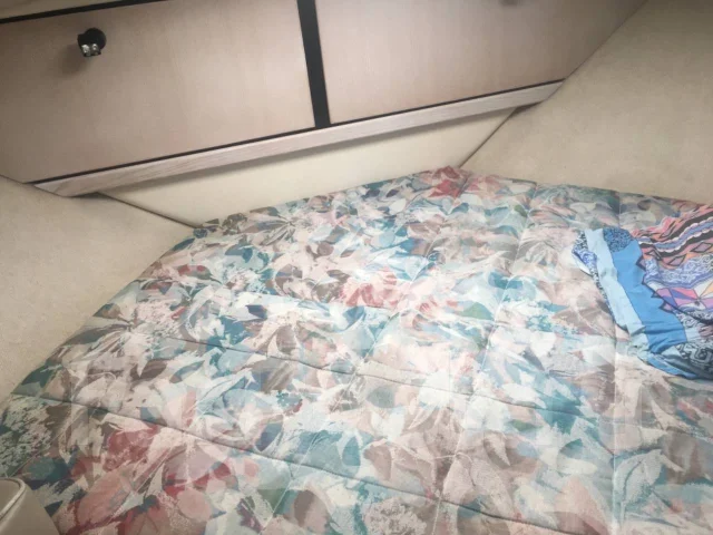 Bayliner. 2001 ���, ����� 10,72��., ��������� ��� ���������, 620��.�., ������ ����