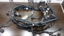 Проводка двс. Toyota: Ractis, Auris, Spade, Sienta, Corolla Axio, Porte, Corolla Fielder Двигатель 1NZFE