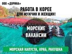 Работа в Южной Корее! Морские огороды! Билеты на паром! Все даты!