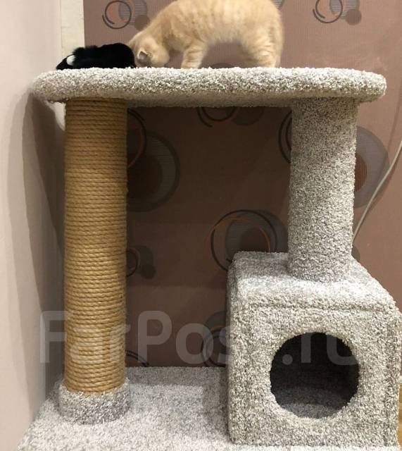 Кошачий домик с когтеточкой, кошек, в наличии. Цена: 4 500₽ в Хабаровске