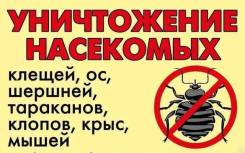 Городская Служба № 1. Уничтожение Тараканов, Клопов, Крыс Блох!