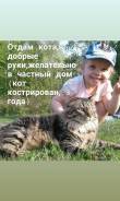 Животные