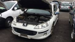 Ноускат. Peugeot 407