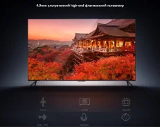 Xiaomi Mi TV 4. LCD (��). ��� ����� �� ������������ ����